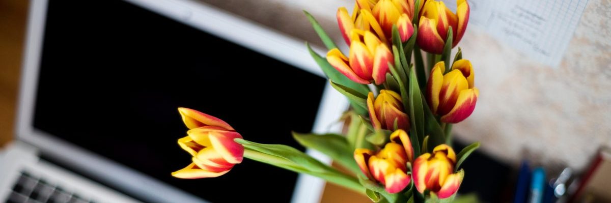 Boekhouder Rosmalen | Administratiekantoor | Accountant Boekhouder Rosmalen | Administratiekantoor | Accountant